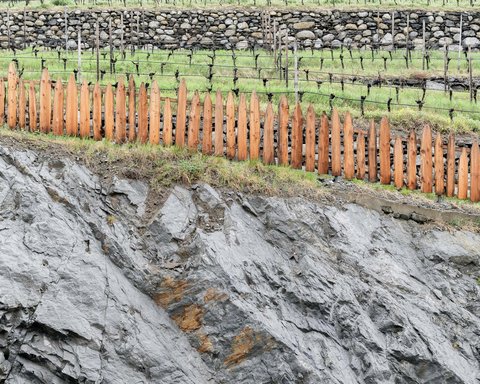 Hotel Pacherhof con tenuta vinicola: immagini e video Hotel Pacherhof con tenuta vinicola: immagini e video