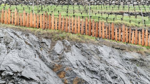 Hotel Pacherhof con tenuta vinicola: immagini e video Hotel Pacherhof con tenuta vinicola: immagini e video