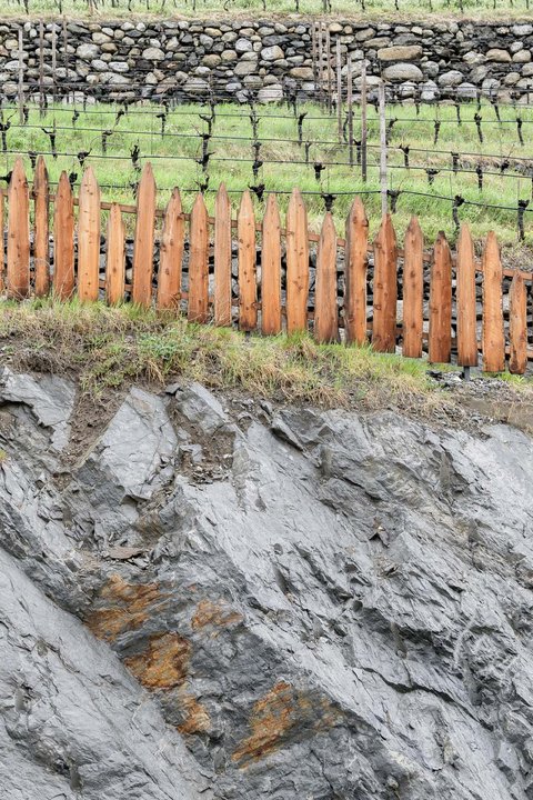 Hotel Pacherhof con tenuta vinicola: immagini e video Hotel Pacherhof con tenuta vinicola: immagini e video