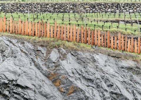 Hotel Pacherhof con tenuta vinicola: immagini e video Hotel Pacherhof con tenuta vinicola: immagini e video