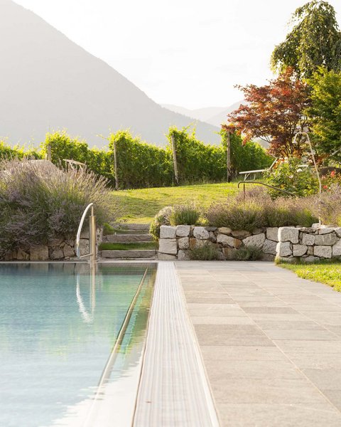 Hotel Pacherhof con tenuta vinicola: immagini e video Hotel Pacherhof con tenuta vinicola: immagini e video