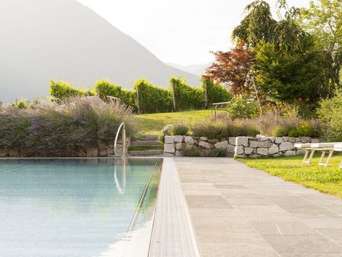 Hotel Pacherhof con tenuta vinicola: immagini e video Hotel Pacherhof con tenuta vinicola: immagini e video