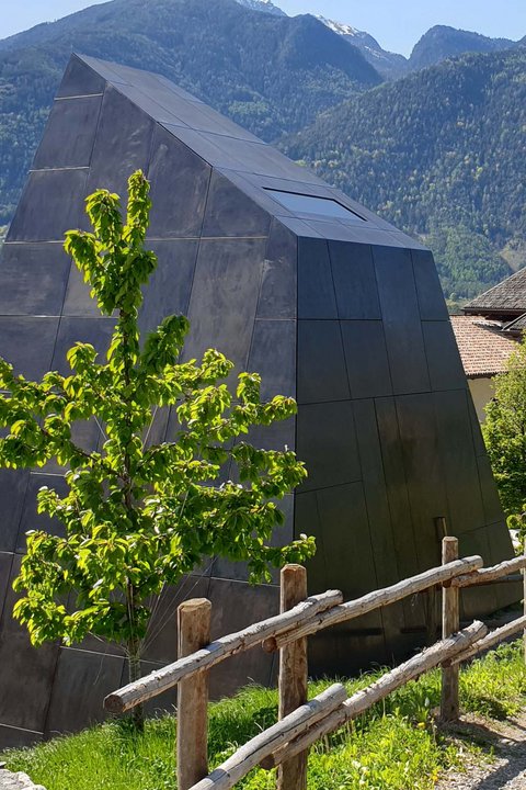 Hotel Pacherhof con tenuta vinicola: immagini e video Hotel Pacherhof con tenuta vinicola: immagini e video