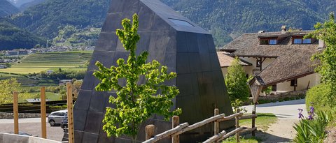 Hotel Pacherhof con tenuta vinicola: immagini e video Hotel Pacherhof con tenuta vinicola: immagini e video