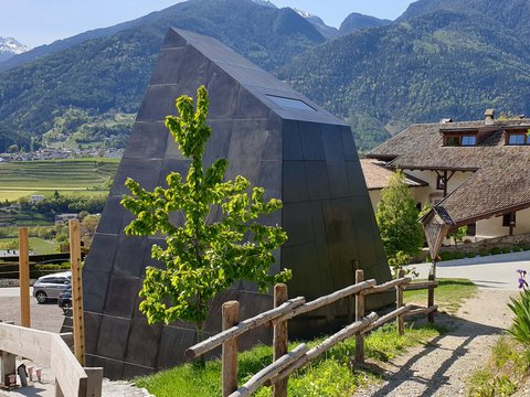 Hotel Pacherhof con tenuta vinicola: immagini e video Hotel Pacherhof con tenuta vinicola: immagini e video