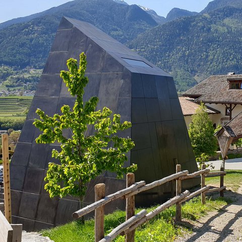 Hotel Pacherhof con tenuta vinicola: immagini e video Hotel Pacherhof con tenuta vinicola: immagini e video