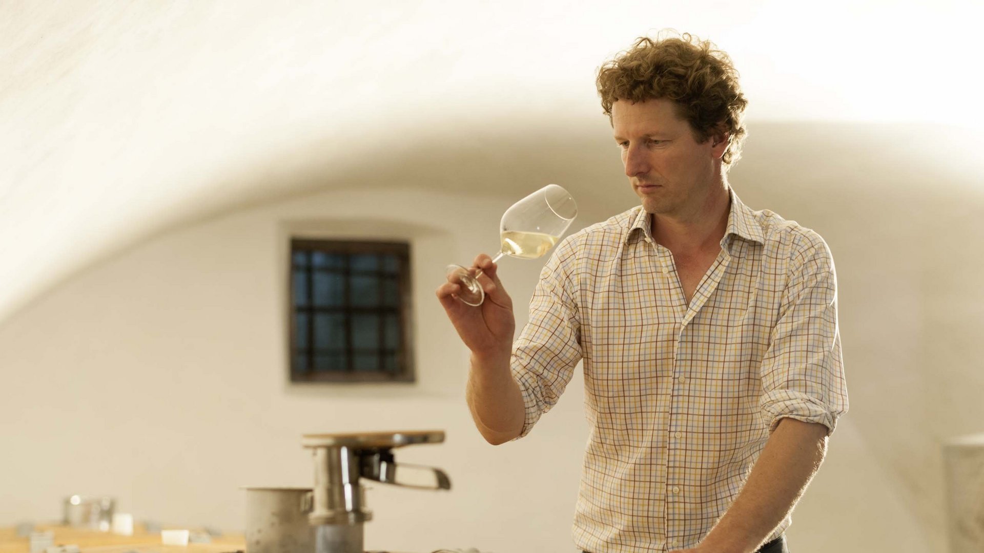 La cantina del Pacherhof risponde alle vostre FAQ sul vino La cantina del Pacherhof risponde alle vostre FAQ sul vino