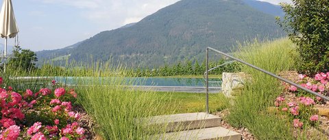 Hotel Pacherhof con tenuta vinicola: immagini e video Hotel Pacherhof con tenuta vinicola: immagini e video