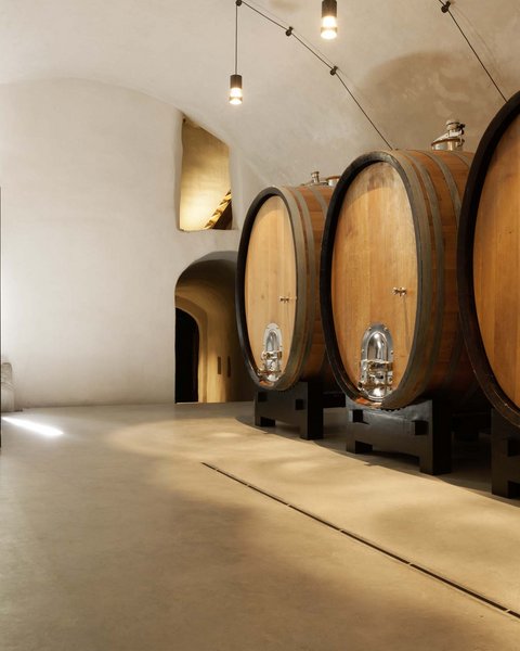 Hotel Pacherhof con tenuta vinicola: immagini e video Hotel Pacherhof con tenuta vinicola: immagini e video