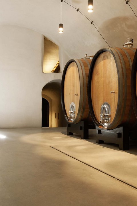 Hotel Pacherhof con tenuta vinicola: immagini e video Hotel Pacherhof con tenuta vinicola: immagini e video