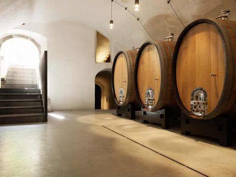 Hotel Pacherhof con tenuta vinicola: immagini e video Hotel Pacherhof con tenuta vinicola: immagini e video