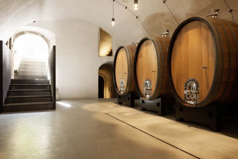 Hotel Pacherhof con tenuta vinicola: immagini e video Hotel Pacherhof con tenuta vinicola: immagini e video