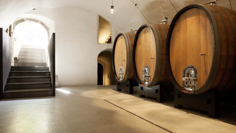 Hotel Pacherhof con tenuta vinicola: immagini e video Hotel Pacherhof con tenuta vinicola: immagini e video