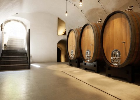 Hotel Pacherhof con tenuta vinicola: immagini e video Hotel Pacherhof con tenuta vinicola: immagini e video