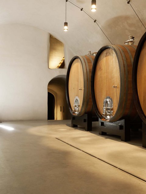 Hotel Pacherhof con tenuta vinicola: immagini e video Hotel Pacherhof con tenuta vinicola: immagini e video