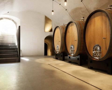 Hotel Pacherhof con tenuta vinicola: immagini e video Hotel Pacherhof con tenuta vinicola: immagini e video