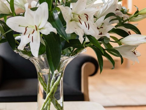 Hotel Pacherhof con tenuta vinicola: immagini e video Hotel Pacherhof con tenuta vinicola: immagini e video