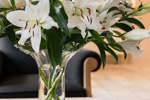 Hotel Pacherhof con tenuta vinicola: immagini e video Hotel Pacherhof con tenuta vinicola: immagini e video