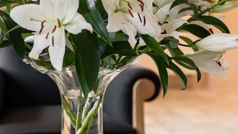 Hotel Pacherhof con tenuta vinicola: immagini e video Hotel Pacherhof con tenuta vinicola: immagini e video