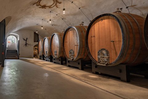 Hotel Pacherhof con tenuta vinicola: immagini e video Hotel Pacherhof con tenuta vinicola: immagini e video