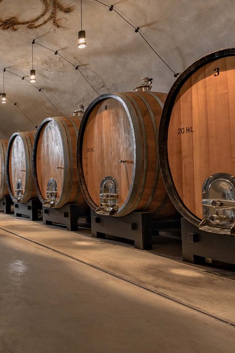 Hotel Pacherhof con tenuta vinicola: immagini e video Hotel Pacherhof con tenuta vinicola: immagini e video