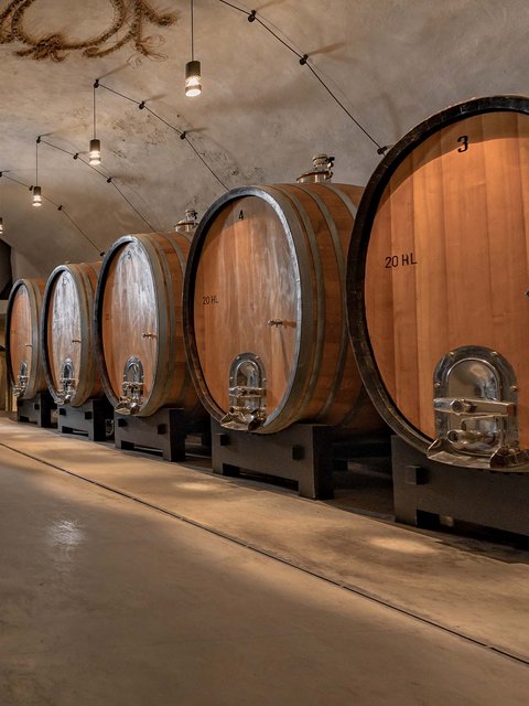 Hotel Pacherhof con tenuta vinicola: immagini e video Hotel Pacherhof con tenuta vinicola: immagini e video