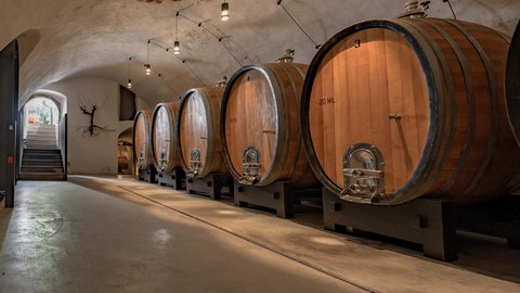 Hotel Pacherhof con tenuta vinicola: immagini e video Hotel Pacherhof con tenuta vinicola: immagini e video