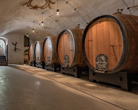 Hotel Pacherhof con tenuta vinicola: immagini e video Hotel Pacherhof con tenuta vinicola: immagini e video