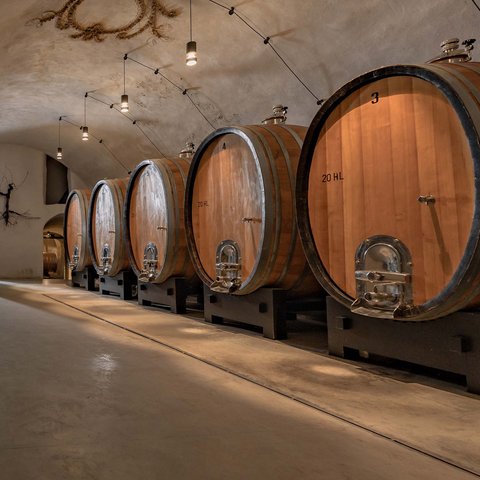 Hotel Pacherhof con tenuta vinicola: immagini e video Hotel Pacherhof con tenuta vinicola: immagini e video