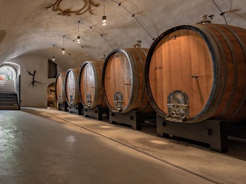 Hotel Pacherhof con tenuta vinicola: immagini e video Hotel Pacherhof con tenuta vinicola: immagini e video
