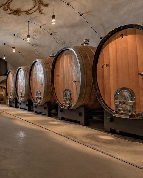 Hotel Pacherhof con tenuta vinicola: immagini e video Hotel Pacherhof con tenuta vinicola: immagini e video