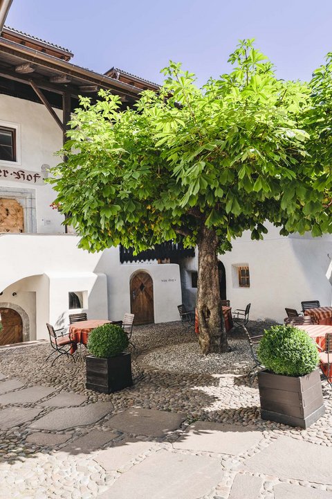 Hotel Pacherhof con tenuta vinicola: immagini e video Hotel Pacherhof con tenuta vinicola: immagini e video