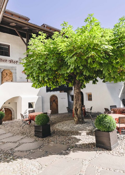 Hotel Pacherhof con tenuta vinicola: immagini e video Hotel Pacherhof con tenuta vinicola: immagini e video